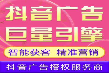 行业领先企业的网络推广与竞价经验